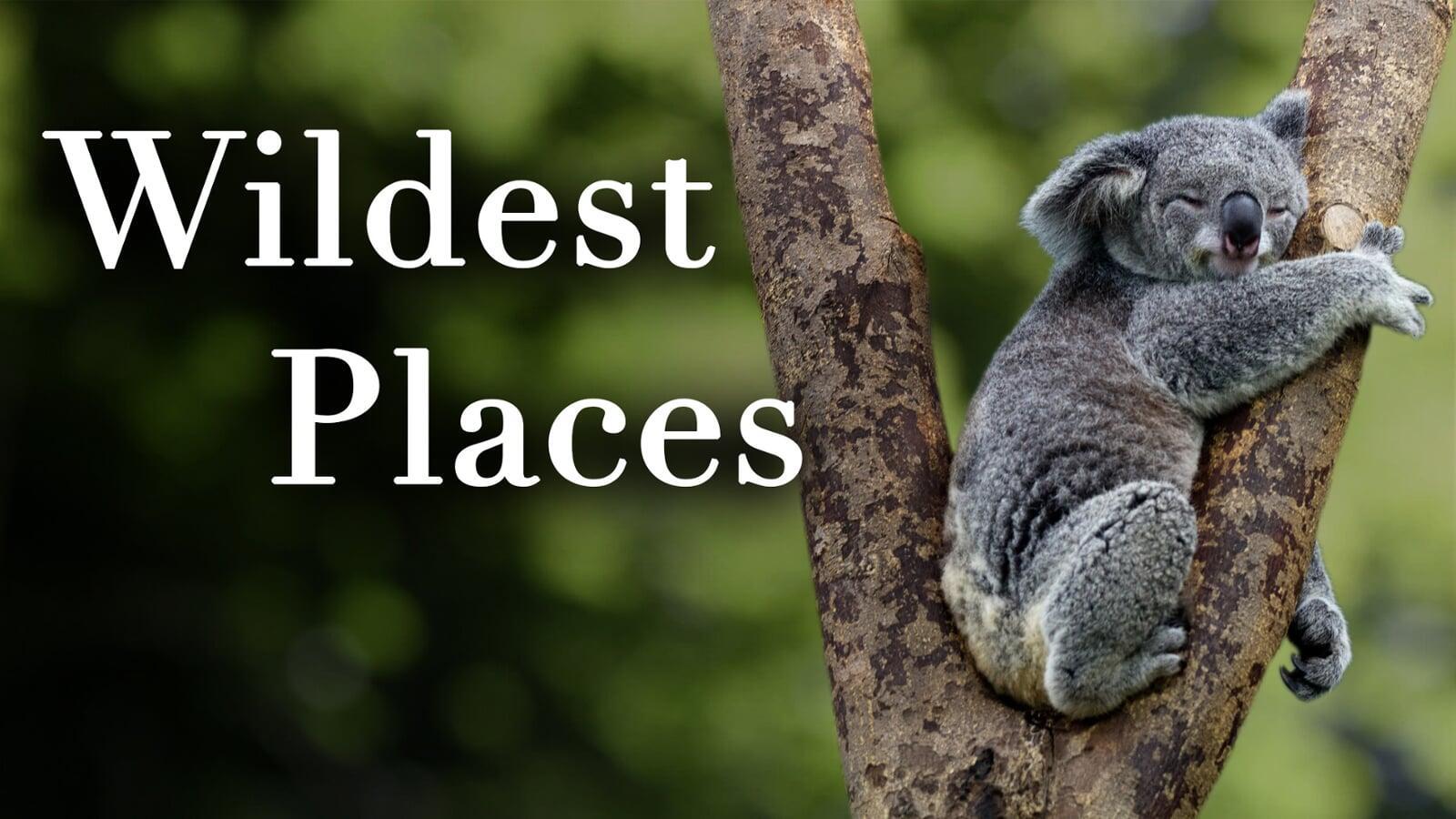 Wildest Places